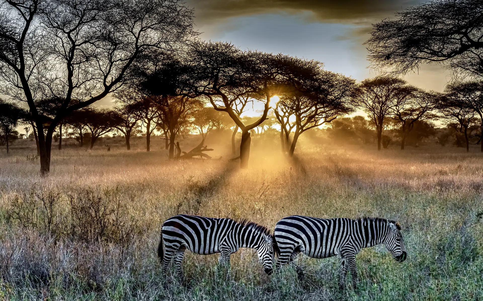 Kenya